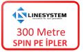 300 metre